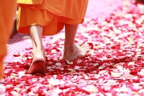 monk walking on rose petals