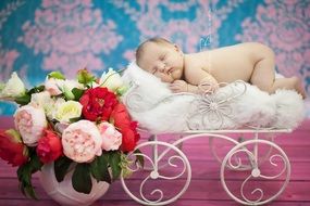 sleeping newborn in the decorative cart