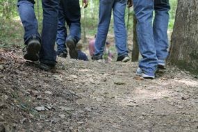 Hiking humans in a forest