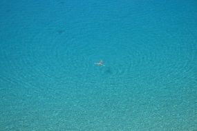 swimming in blue water