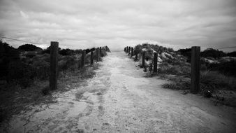 black and white photo of the road