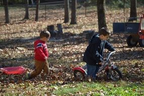 boys playing in autumn leaves