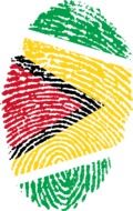 guyana flag fingerprint country drawing