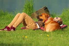 girl with a big dog on green grass near the water