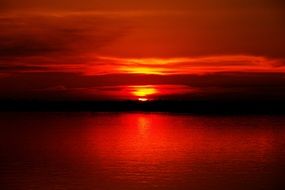 landscape of red sunset on the amazon river