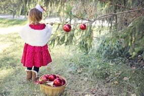 girl decorating tree for christmas