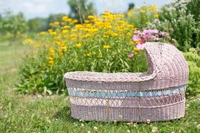 pink bassinet in the garden