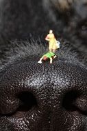 tiny people on the dog's nose