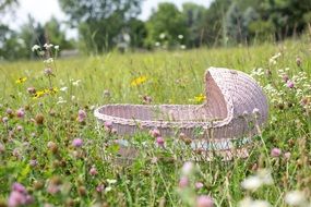 baby bassinet on the summer meadow
