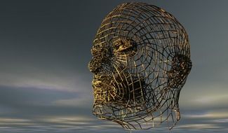 head human half profile
