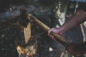 man choping firewood