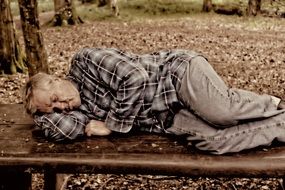 man sleeping on a park bench