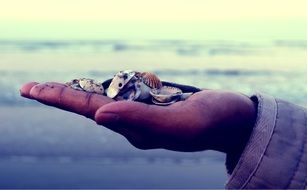 hand of beauty super