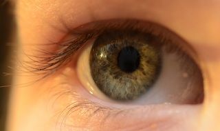 gray-green eye of a child
