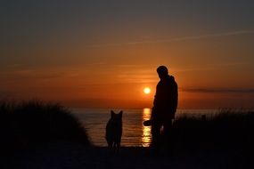 dog and man on the beach at sunset