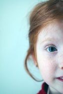 portrait of a redhead girl