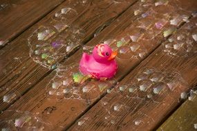 pink rubber duck