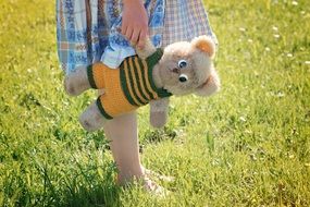 teddy bear in the hands of a girl