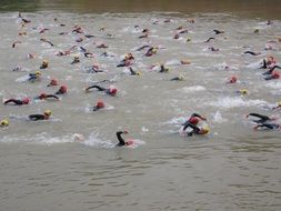 competition of open water swimmers