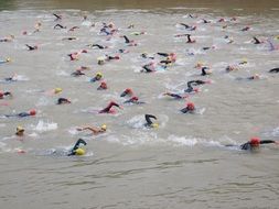 competition in wetsuits on the Danube river