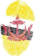 brunei flag fingerprint country drawing