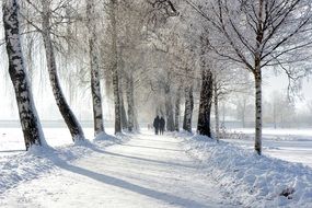 cuople in the winter alley, chiemgau