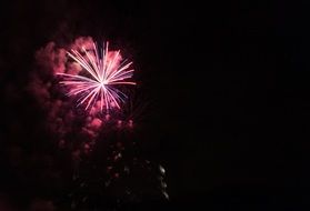 pink fireworks in the night sky