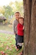 little children peep behind the tree