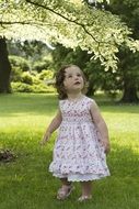 little girl in spring dress in a green garden