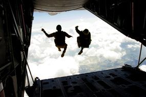 skydiving, view from airplane