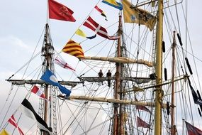 people sit on a mast on a background of gray sky