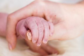 hand of a newborn baby