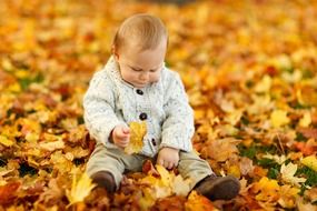 baby playing in the autumn leaves
