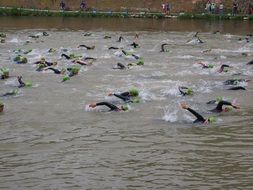 competition of swimming open water