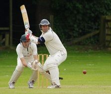 athletes play cricket on a green field