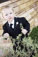 little boy in a suit near a green plant