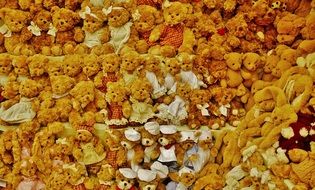 many teddy bears