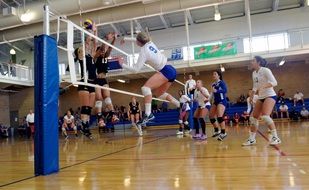 female volleyball in the gym