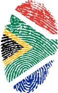 south africa flag fingerprint drawing