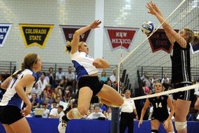 women playing volleyball on competition