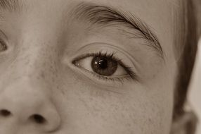 face eye
