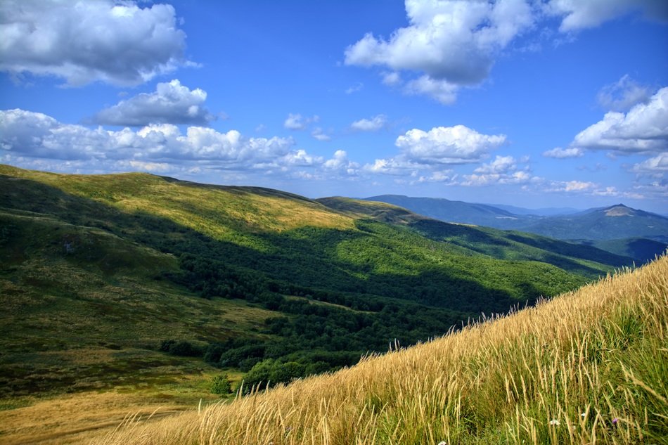 Summit Tarnica rises more than 500 meters above the valley Wołosatki