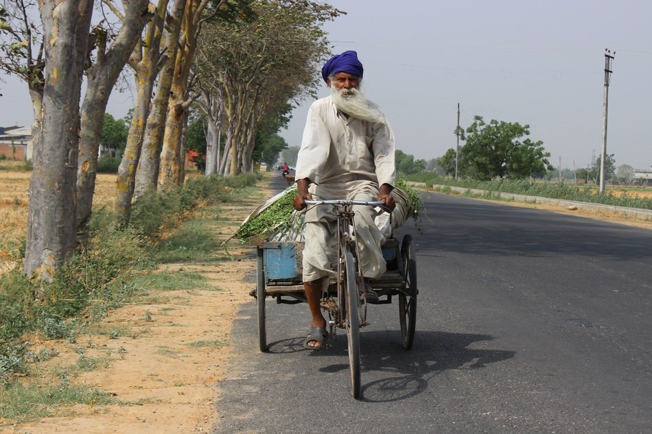 typical road view in india