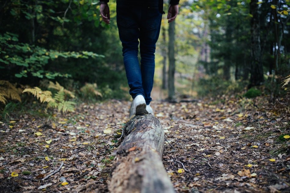 hiker walking on old tree trunk