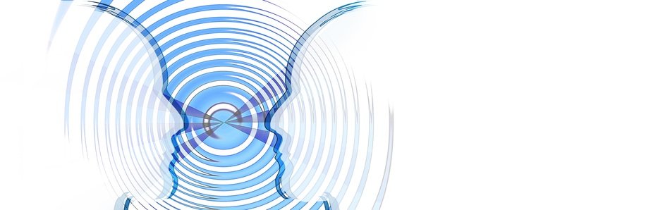 contour of people's faces on the background of the resonance curves