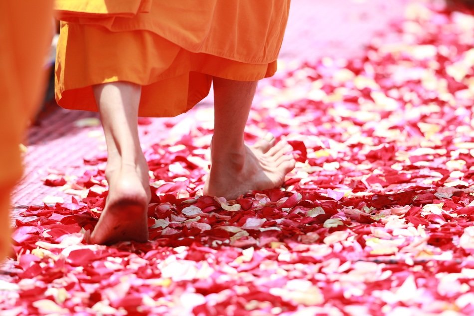monk walking on rose petals