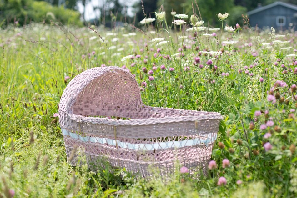 baby bassinet pink in field