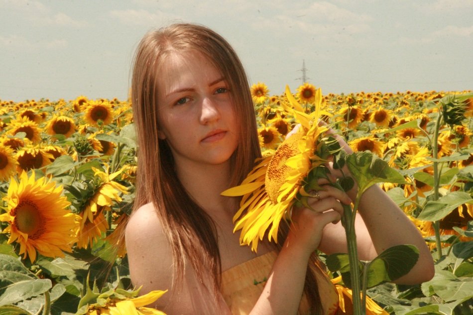girl with long hair on a yellow field of beautiful sunflowers