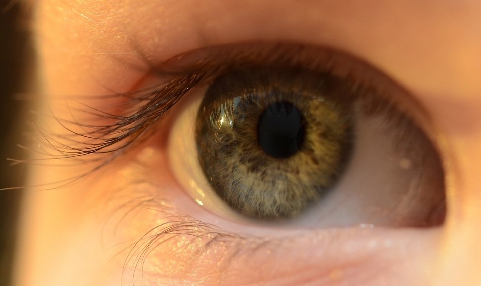 gray-green eye of a child