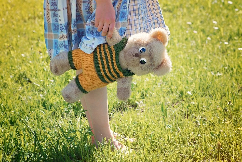 teddy bear in the hands of a girl